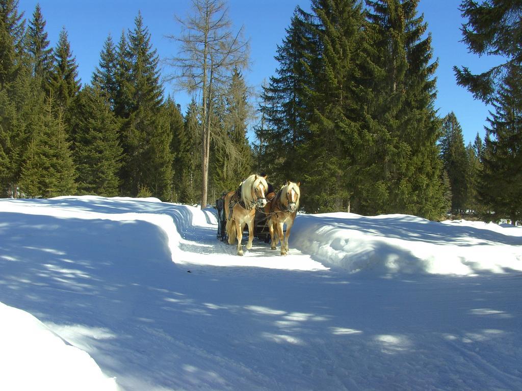 Gasthof Doris